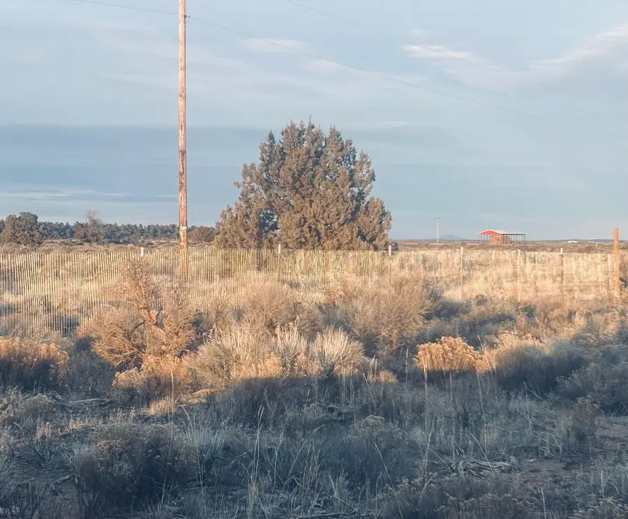 Honey Dew Lane #TL 2500, Christmas Valley, OR 97641 - #3