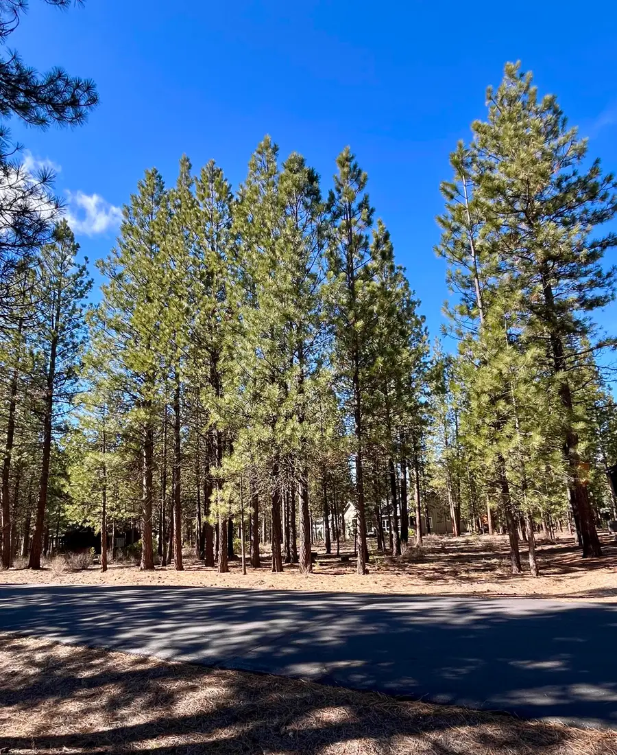 14165 Whitewater Loop, La Pine, OR 97739 - #2