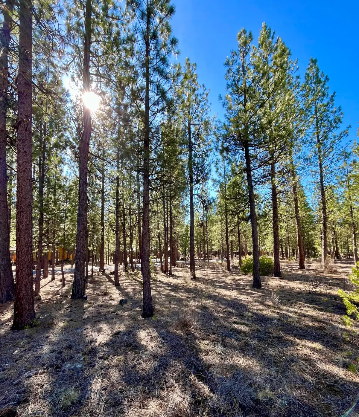 14171 Whitewater Loop, La Pine, OR 97739 - #1