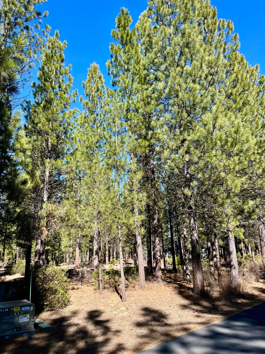 14171 Whitewater Loop, La Pine, OR 97739 - #2