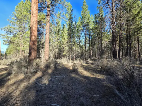 0 Grey Wolf Lane #Lot 7, Chiloquin, OR 97639