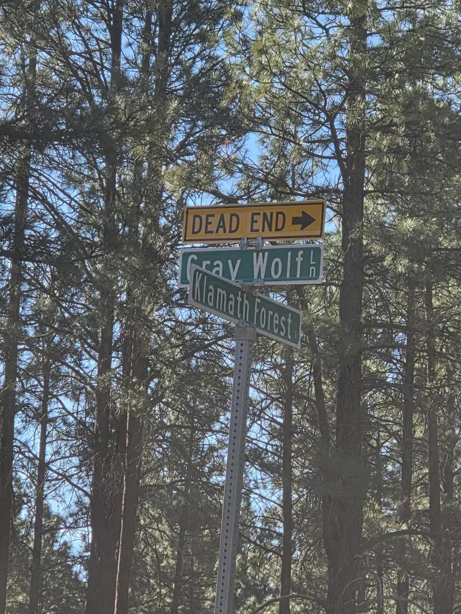 0 Grey Wolf Lane #Lot 7, Chiloquin, OR 97639 - #2