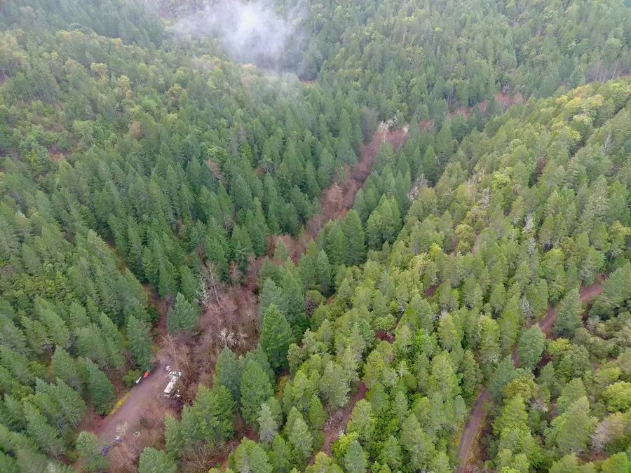 1802 Waters Creek Road, Wilderville, OR 97543 - #2