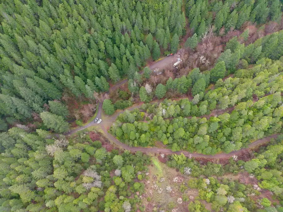 1802 Waters Creek Road, Wilderville, OR 97543 - #3