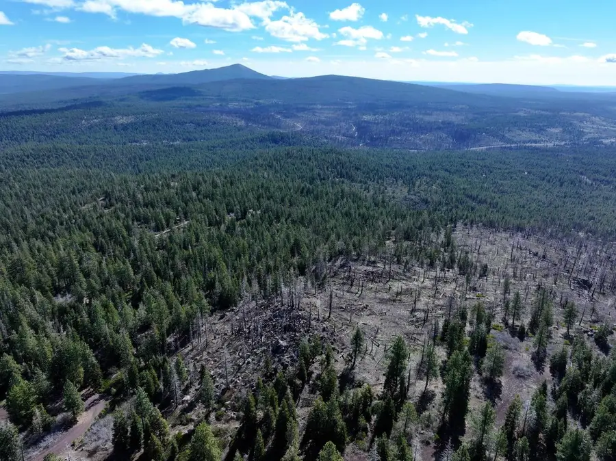 14332 Loma Bonita Court, Bonanza, OR 97623 - #2