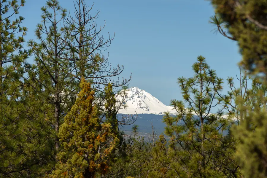 1784 NW Wild Rye Circle, Bend, OR 97703 - #3