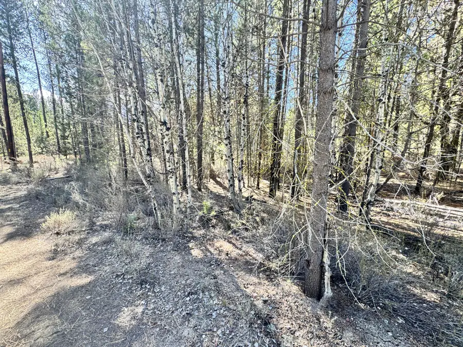 0 Green Forest Drive #31, Chiloquin, OR 97624 - #3