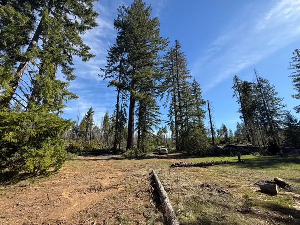 0 Swede Basin Road #R325987, Selma, OR 97538