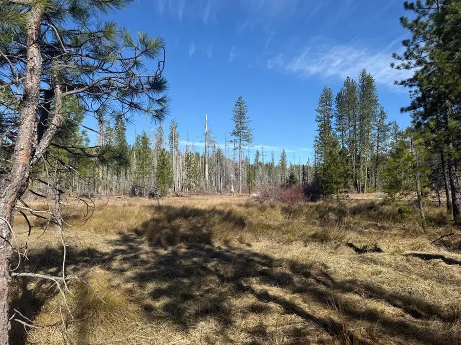 0 Swede Basin Road #R325987, Selma, OR 97538 - #3