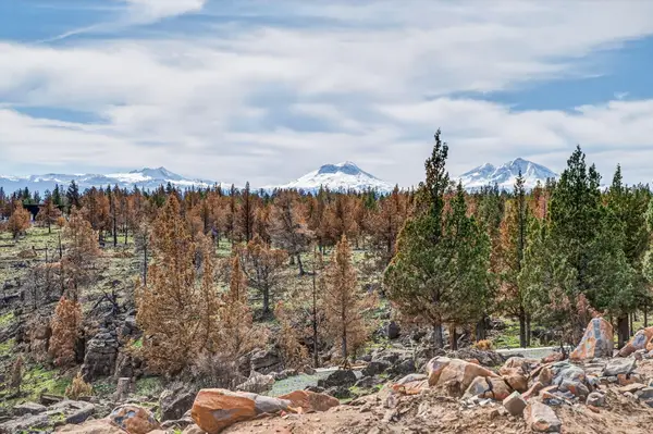 18070 Mountain View Road, Sisters, OR 97759