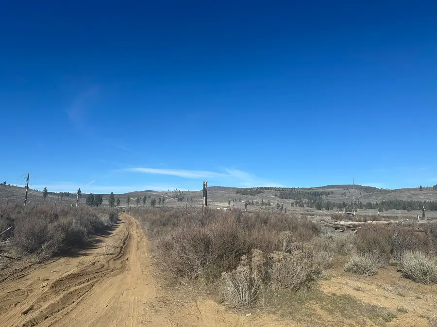 Ruffed Grouse Lane #TL 02000, Sprague River, OR 97639 - #2