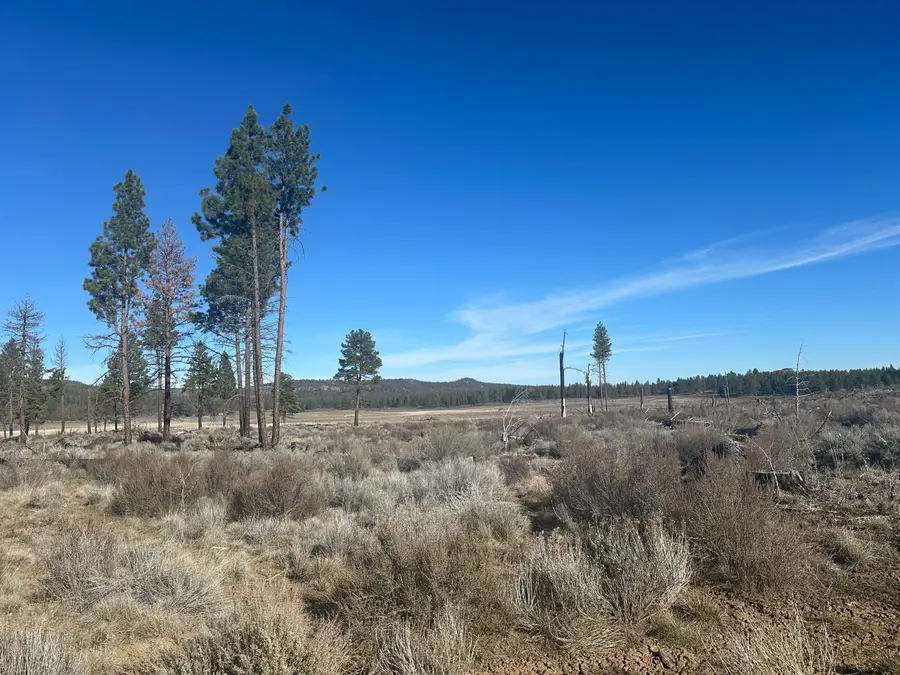 Ruffed Grouse Lane #TL 02000, Sprague River, OR 97639 - #3