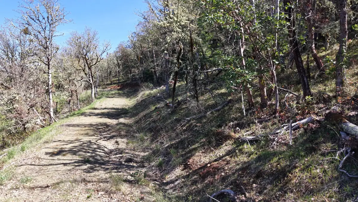 401 Whitaker Lane, Grants Pass, OR 97527 - #1