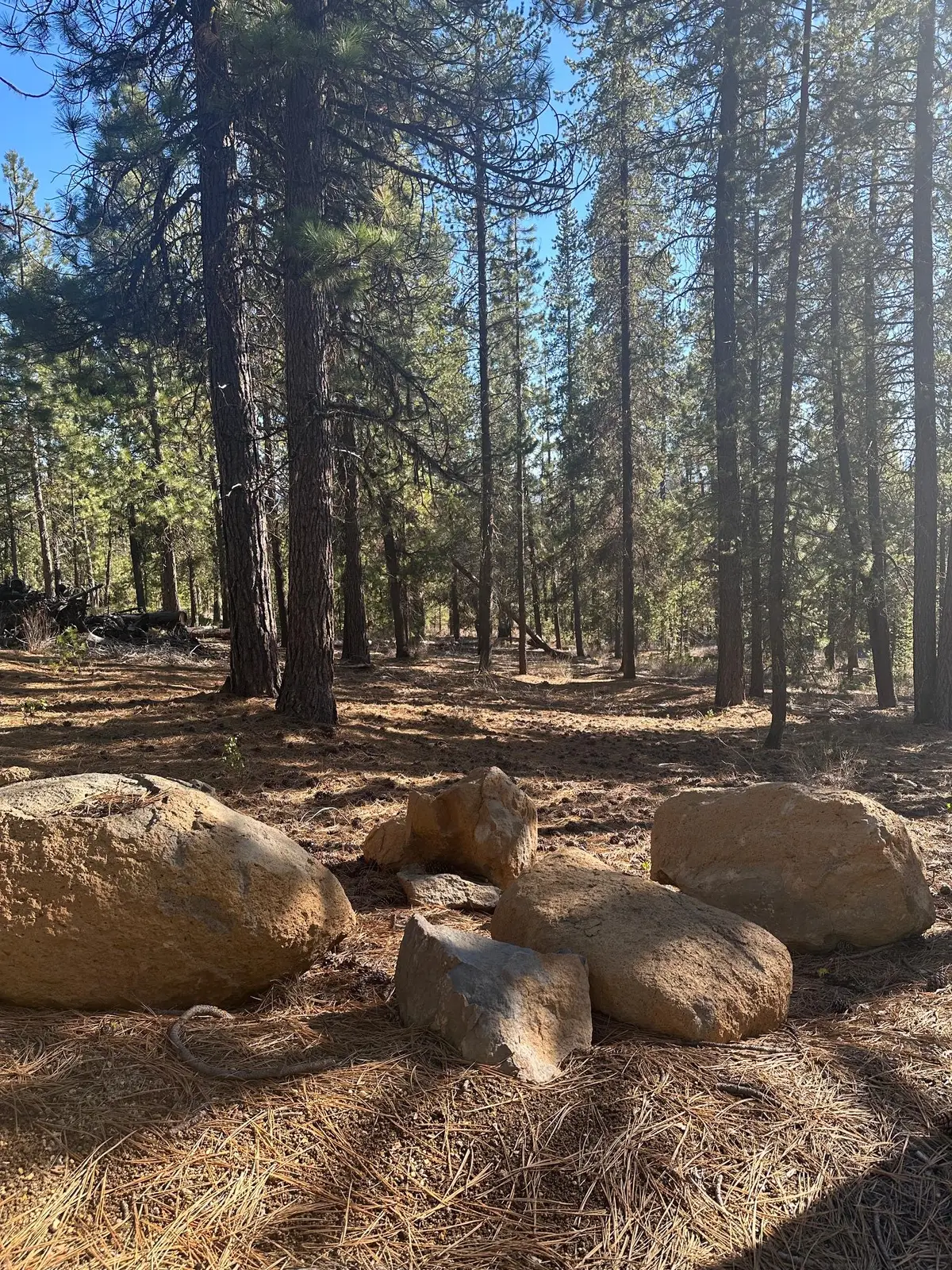 Hwy 58 #Lot 201, Crescent Lake, OR 97733 - #1