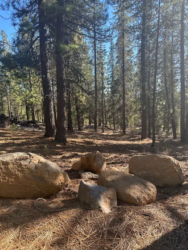 Hwy 58 #Lot 201, Crescent Lake, OR 97733