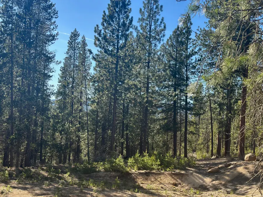 Hwy 58 #Lot 201, Crescent Lake, OR 97733 - #2