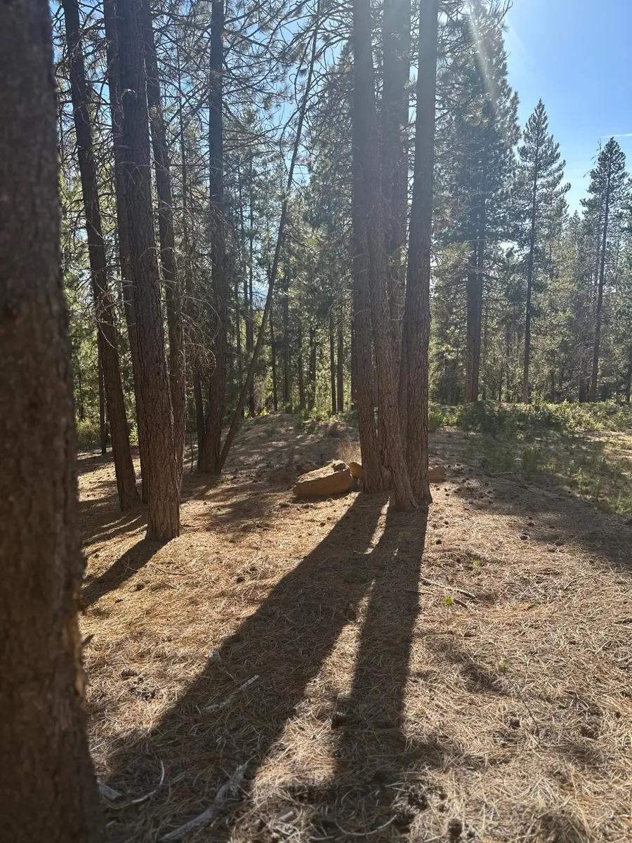 Hwy 58 #Lot 201, Crescent Lake, OR 97733 - #3