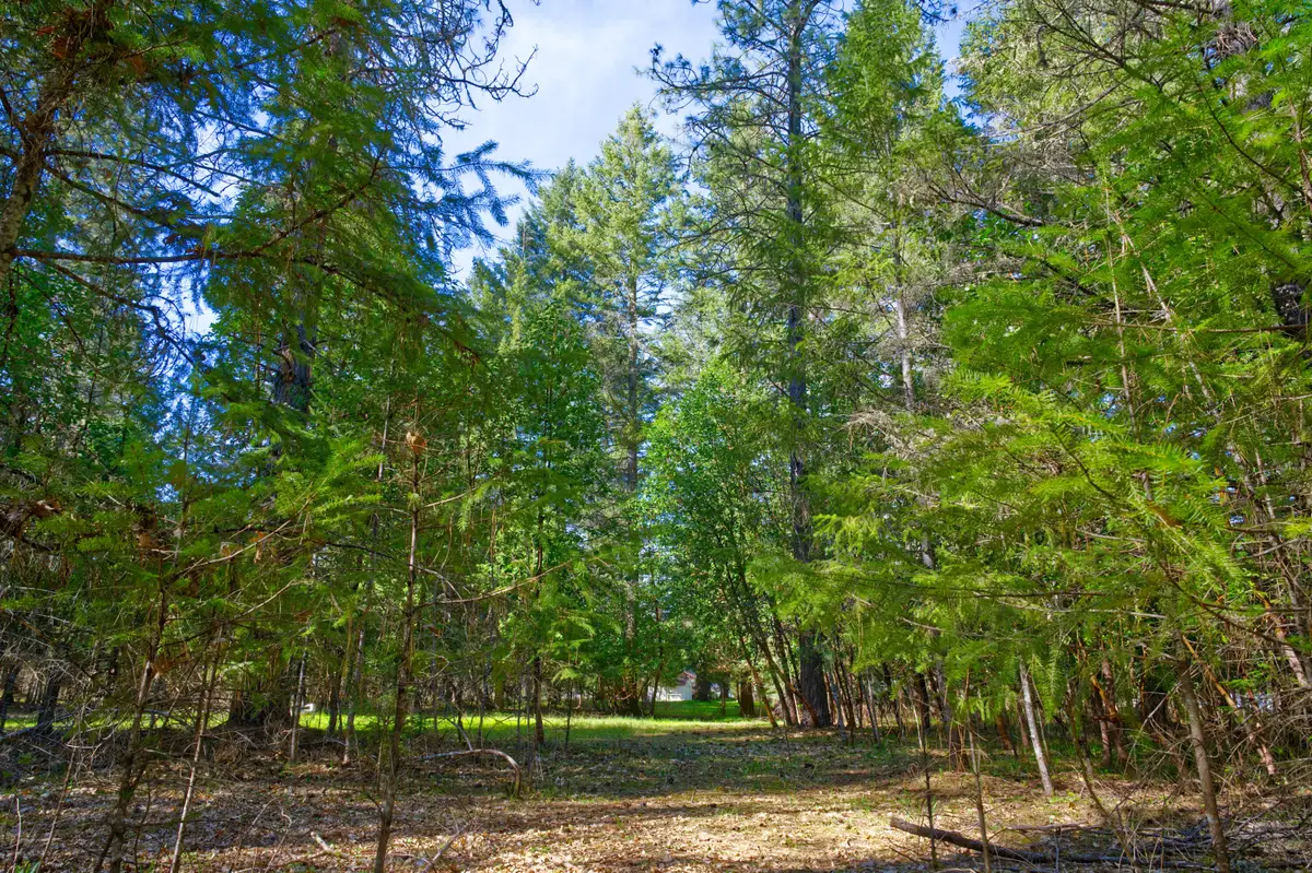 389 Boyer Road, Grants Pass, OR 97526 - #1