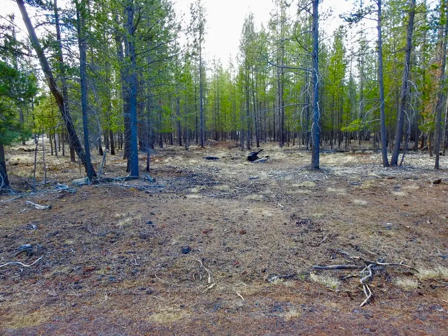 Tl 10100 Beechwood Drive #1, La Pine, OR 97739 - #2