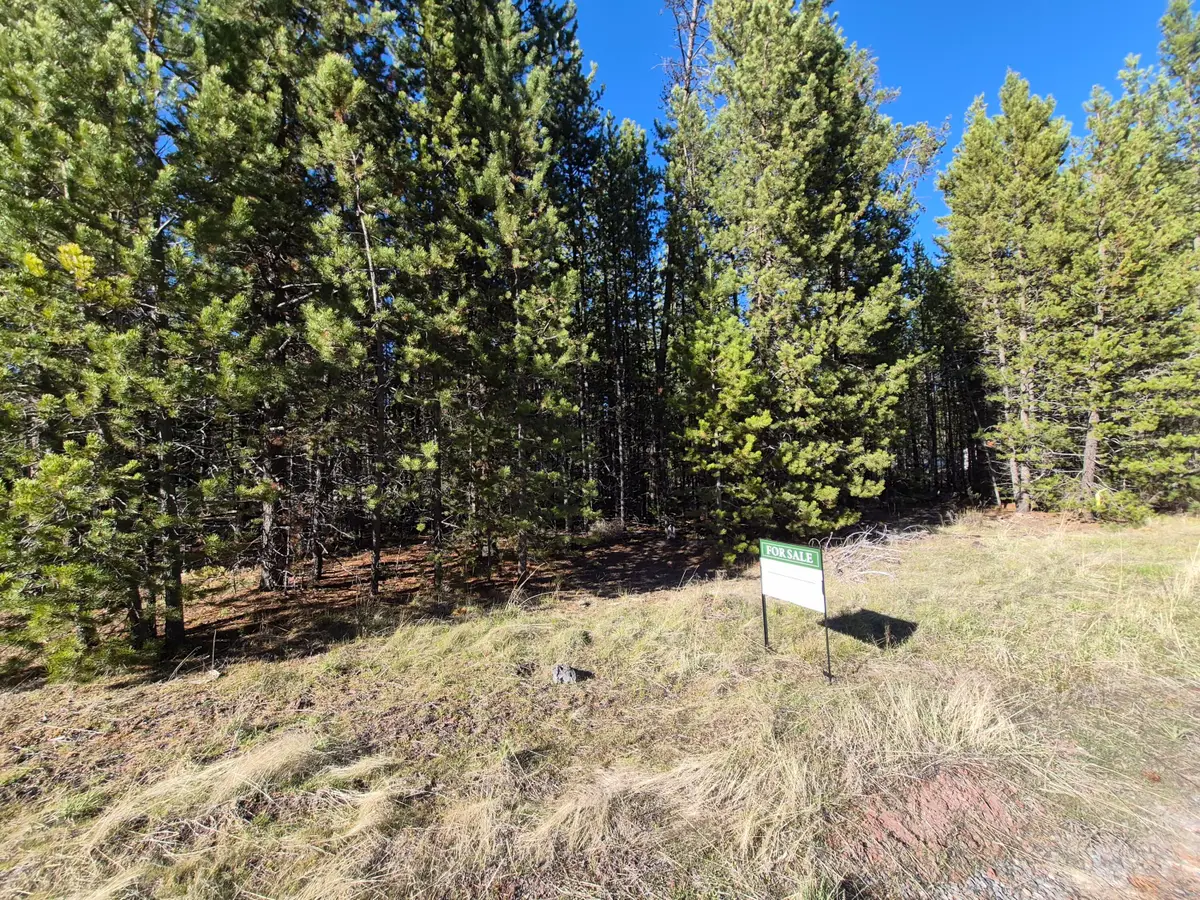 17118 Indio Road, Bend, OR 97707 - #1