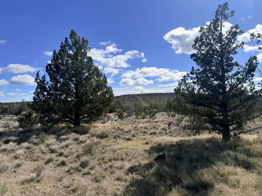 700 NW Pinecrest Drive, Prineville, OR 97754 - #2