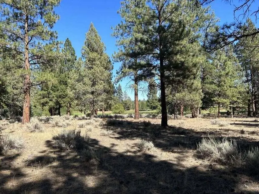 17167 Caddis Court, Sisters, OR 97759 - #3