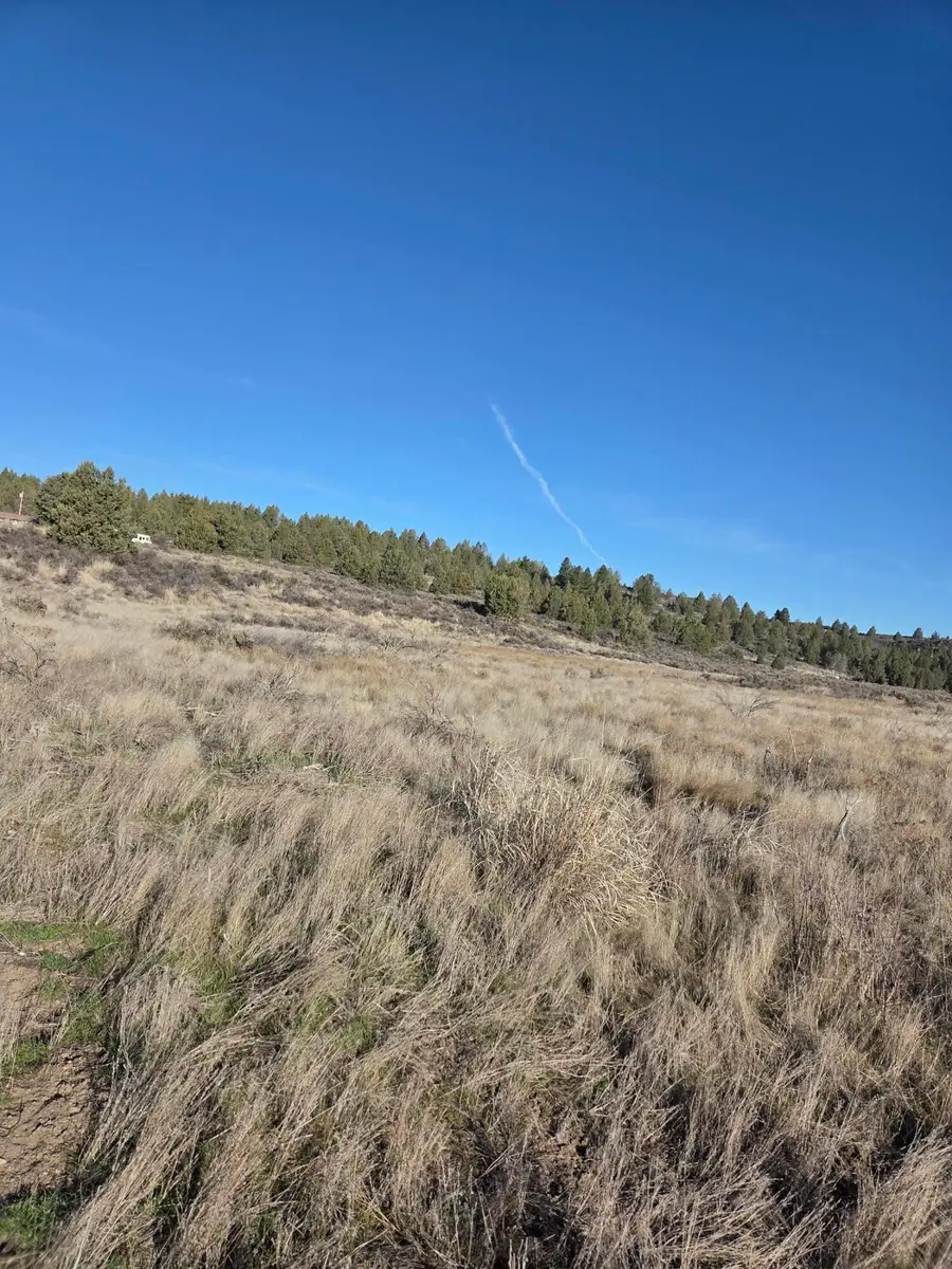 0 Drews Road #Lot 8, Chiloquin, OR 97624 - #3