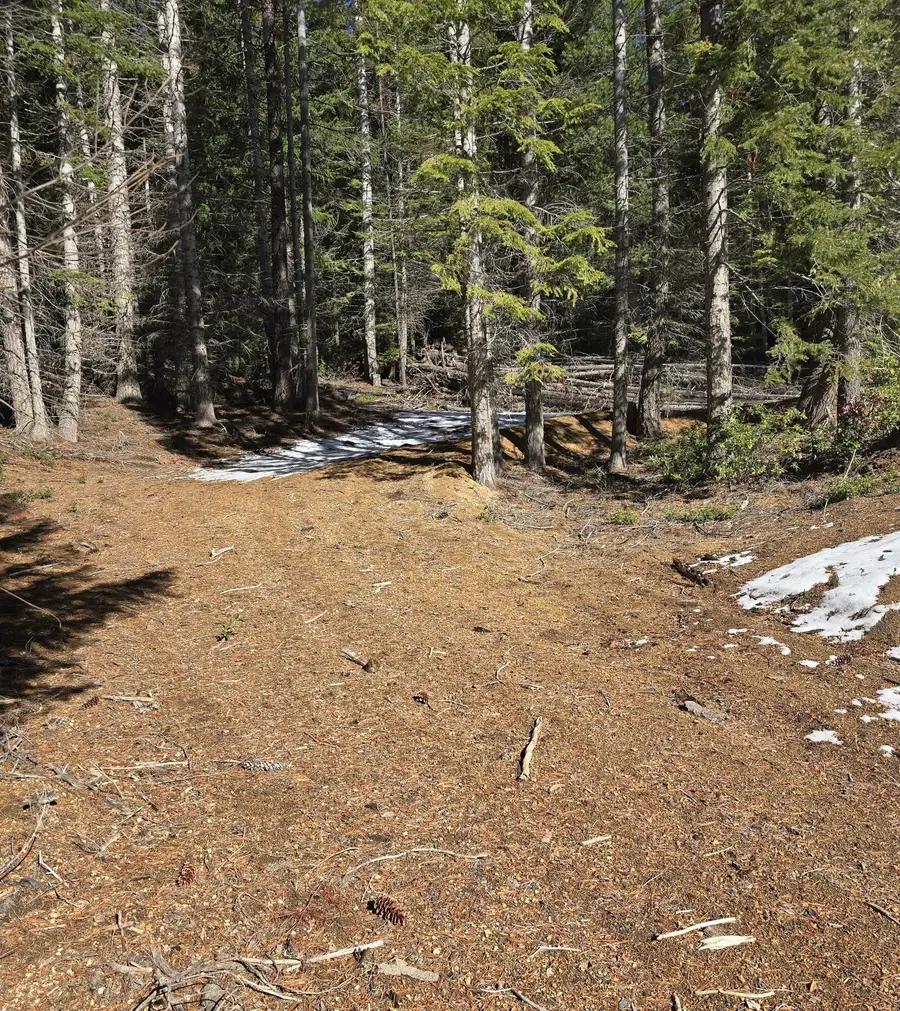 6 Royce Pine Road, Crescent Lake, OR 97733 - #2