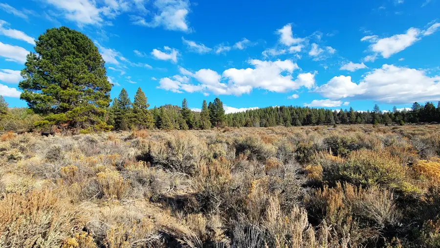 0 Tableland Road #1400 & 1500, Sprague River, OR 97639 - #2