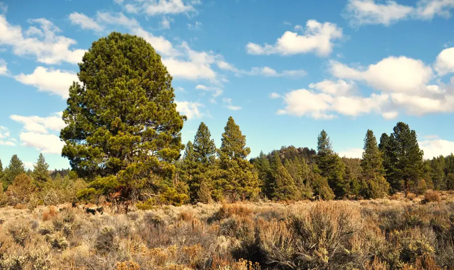 0 Tableland Road #1400 & 1500, Sprague River, OR 97639 - #3