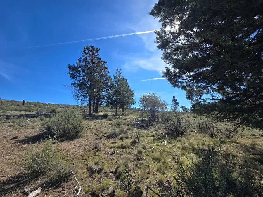 0 Fur Trapper Drive #200, Chiloquin, OR 97624 - #2