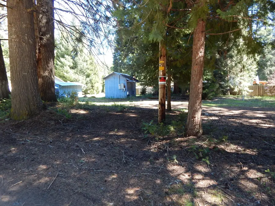 356 M Lane, Prospect, OR 97536 - #2