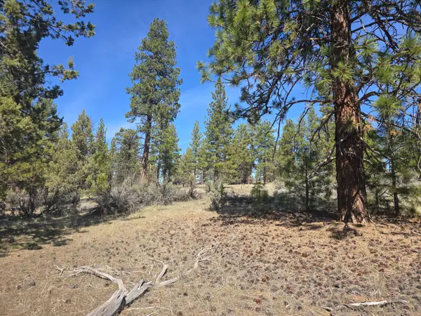 Widgeon Drive #39, Bonanza, OR 97623