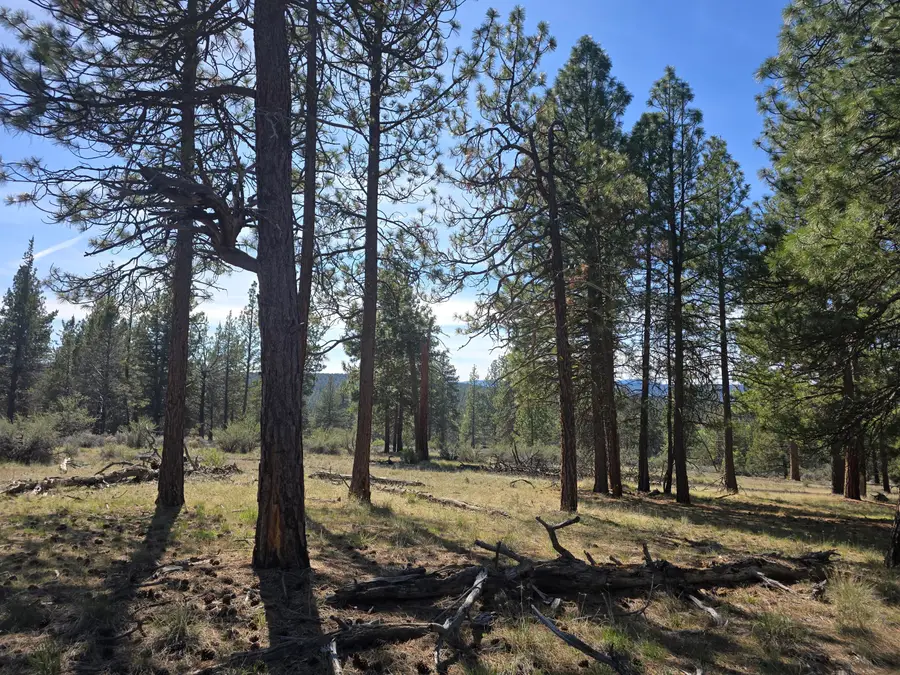 Widgeon Drive #39, Bonanza, OR 97623 - #3