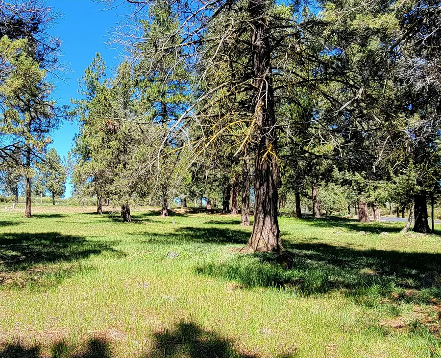 0 Turnstone Drive #Lot 1022, Klamath Falls, OR 97601 - #2