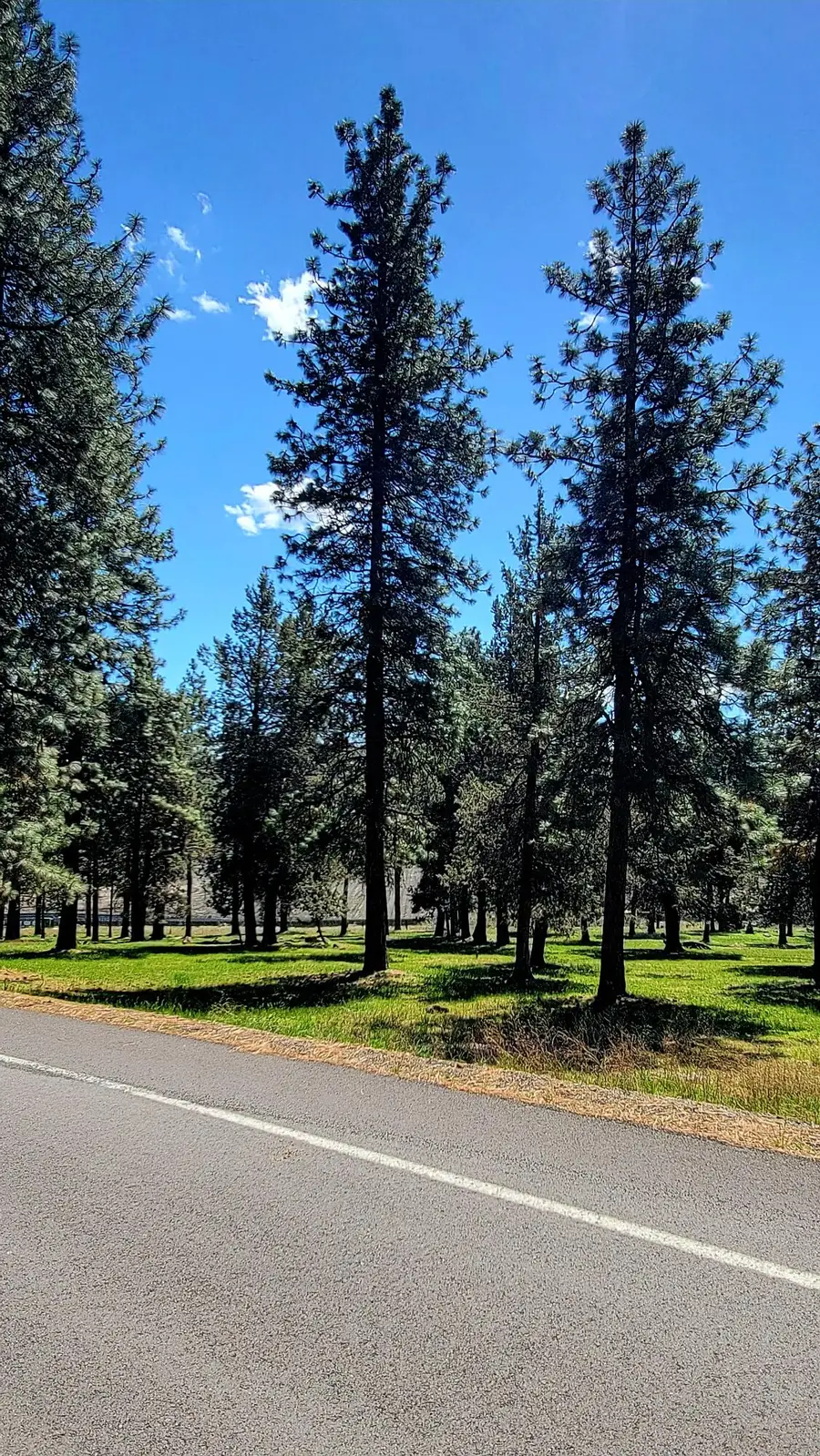 0 Turnstone Drive #Lot 1022, Klamath Falls, OR 97601 - #3