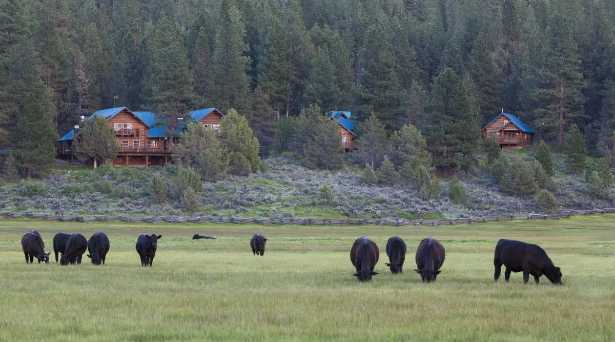 0 Fishhole Creek Road, Bly, OR 97622 - #1