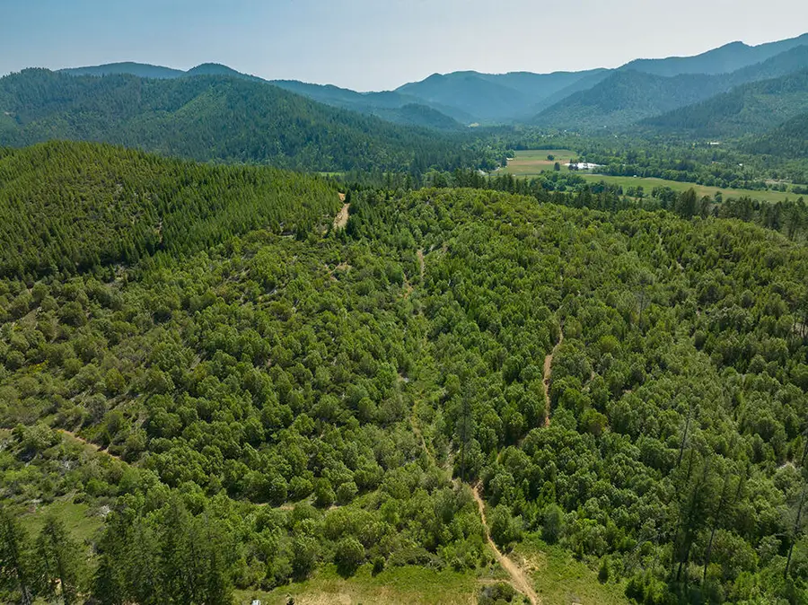 0 Deer Creek Road #700, Selma, OR 97538 - #2