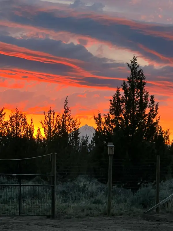 10001 SW Geneva View Road, Terrebonne, OR 97760