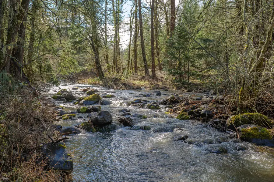 2829 Buckhorn Springs Road, Ashland, OR 97520 - #2