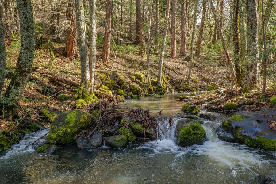 2829 Buckhorn Springs Road, Ashland, OR 97520 - #3