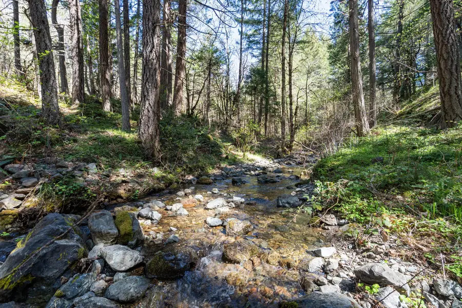 Coyote Creek Road #TL1200, Wolf Creek, OR 97497 - #2