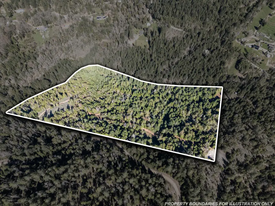 Coyote Creek Road #TL1200, Wolf Creek, OR 97497 - #3