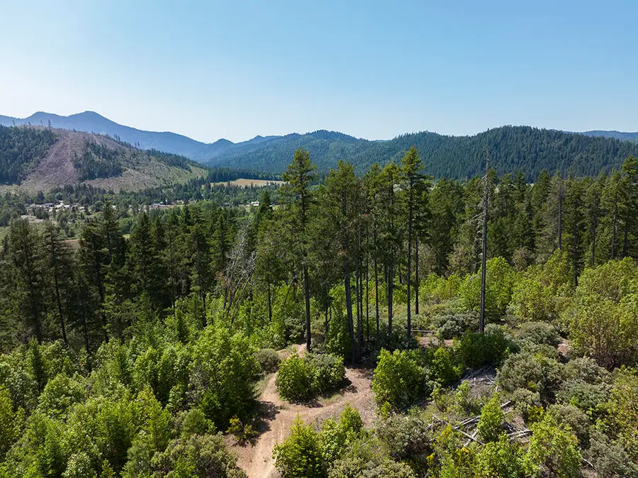 0 Deer Creek Road #802, Selma, OR 97538 - #2