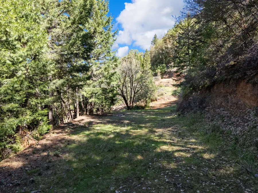 Frontage Road #TL1900, Wolf Creek, OR 97497 - #3