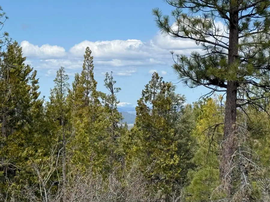 0 Yellowjacket Springs Rd, Beatty, OR 97621 - #2