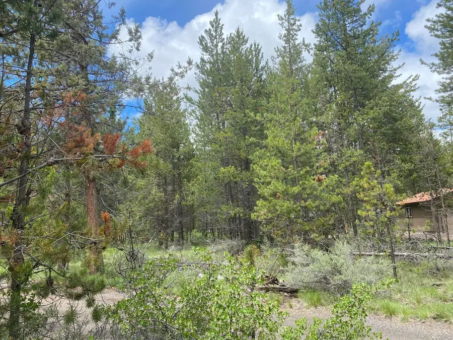 55508 Circle Street, Bend, OR 97707 - #3