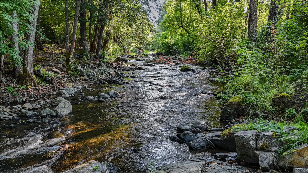 3950 Little Applegate Road, Jacksonville, OR 97530 - #1