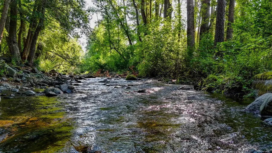 3950 Little Applegate Road, Jacksonville, OR 97530 - #2