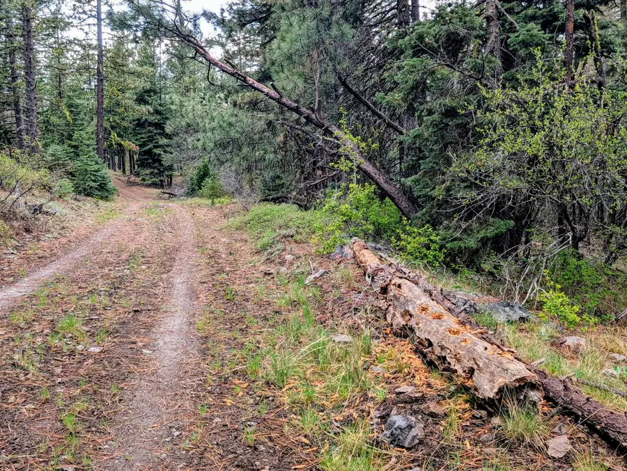 Beaver Lane #46 & 47, Bonanza, OR 97623 - #3